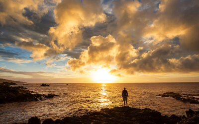 ¿Qué se necesita para hacer una constelación?